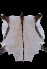 Oryx fur O019