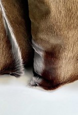 Springbok fur cushion in a great grey