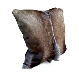 Springbok fur cushion in a great grey K005
