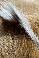 Springbok fur grey SG003 our tip