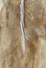 Springbok fur grey SG003 our tip