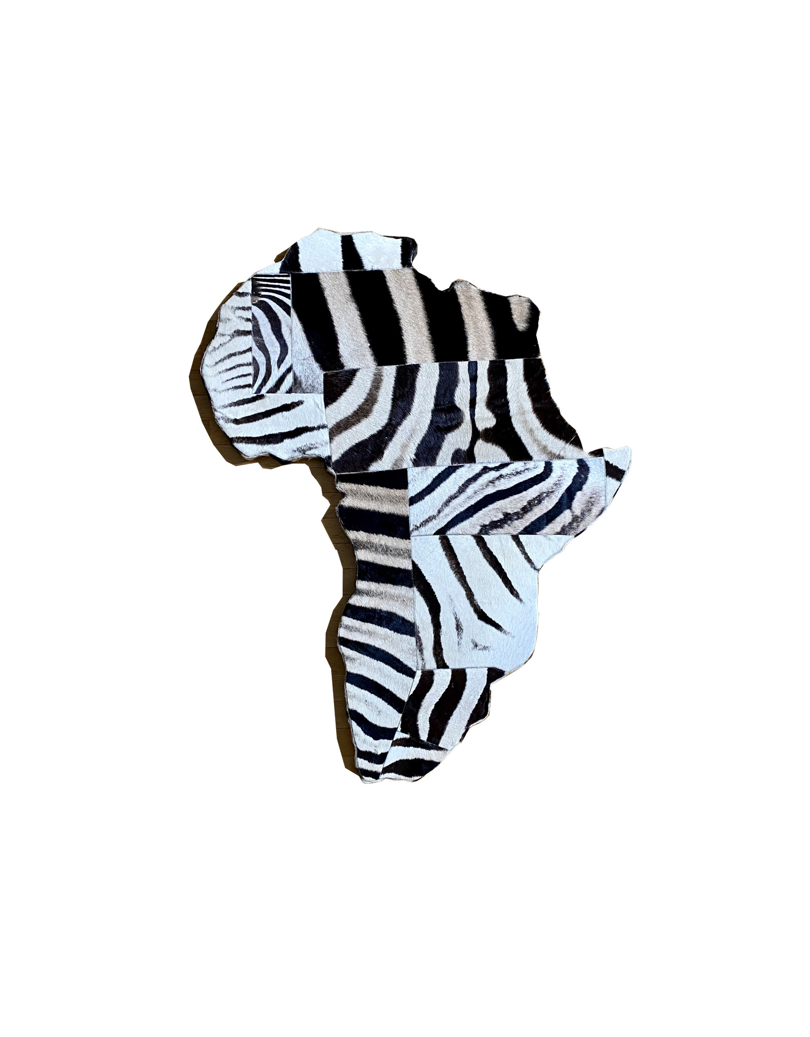 Africa zebra picture made from real zebra skin