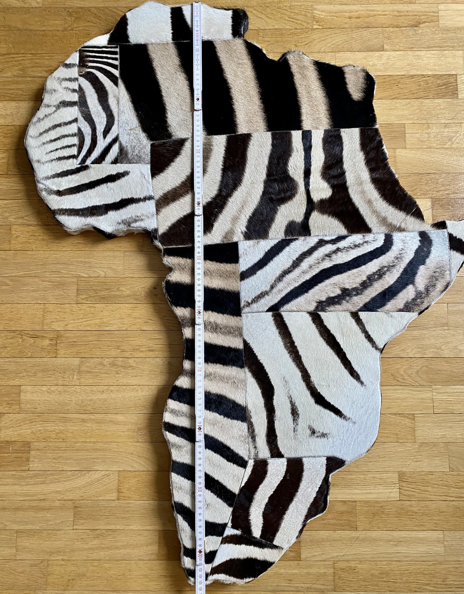 Africa zebra picture made from real zebra skin
