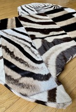 Africa zebra picture made from real zebra skin