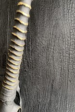 Oryx Wall Sculpture on Solid Oak Panel – Large-Scale One of a Kind Piece