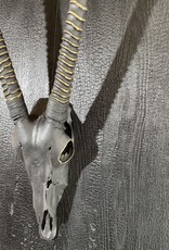 Gold Oryx, auf einer verbrannten Eichenhozpaltte