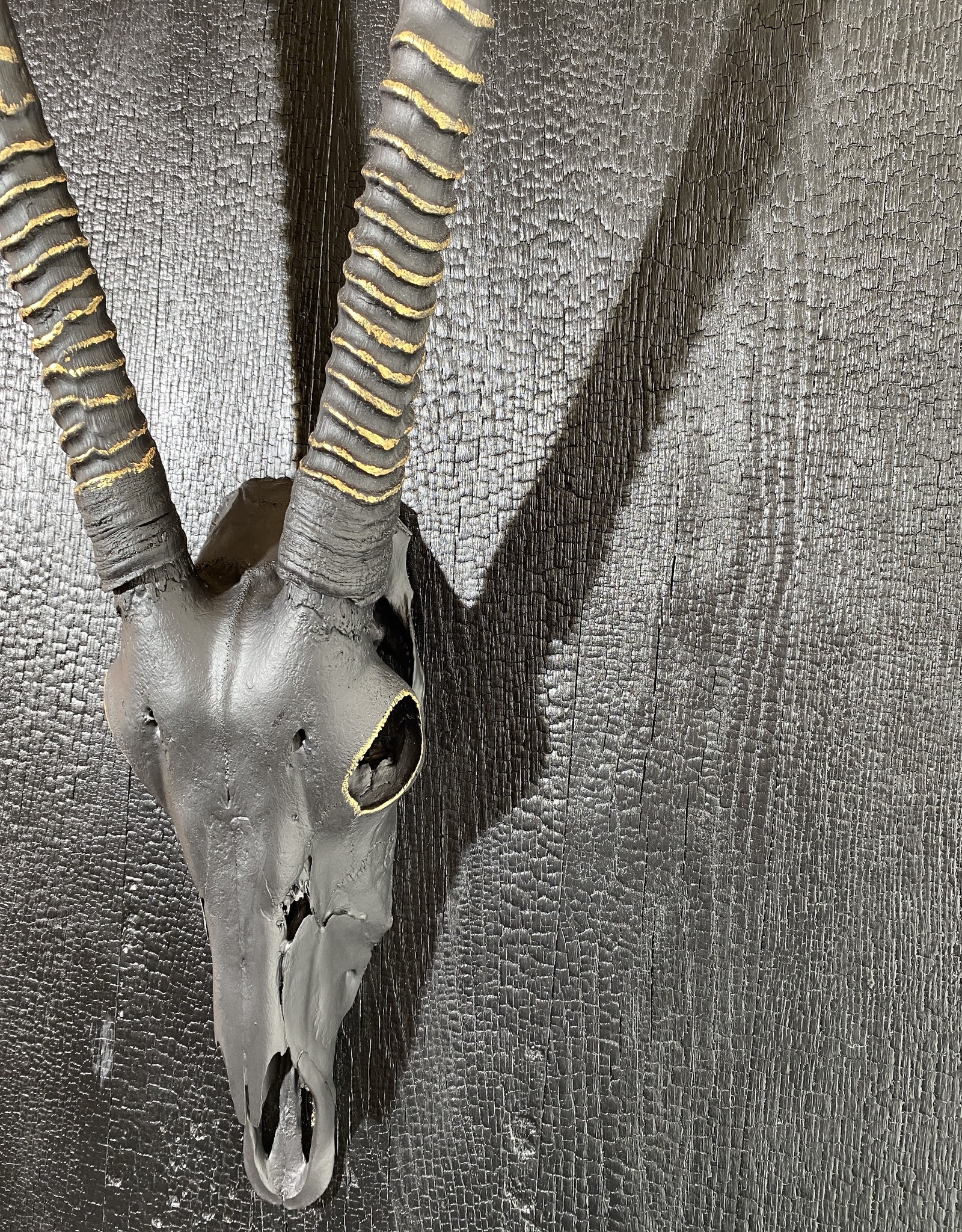 Gold Oryx, auf einer verbrannten Eichenhozpaltte