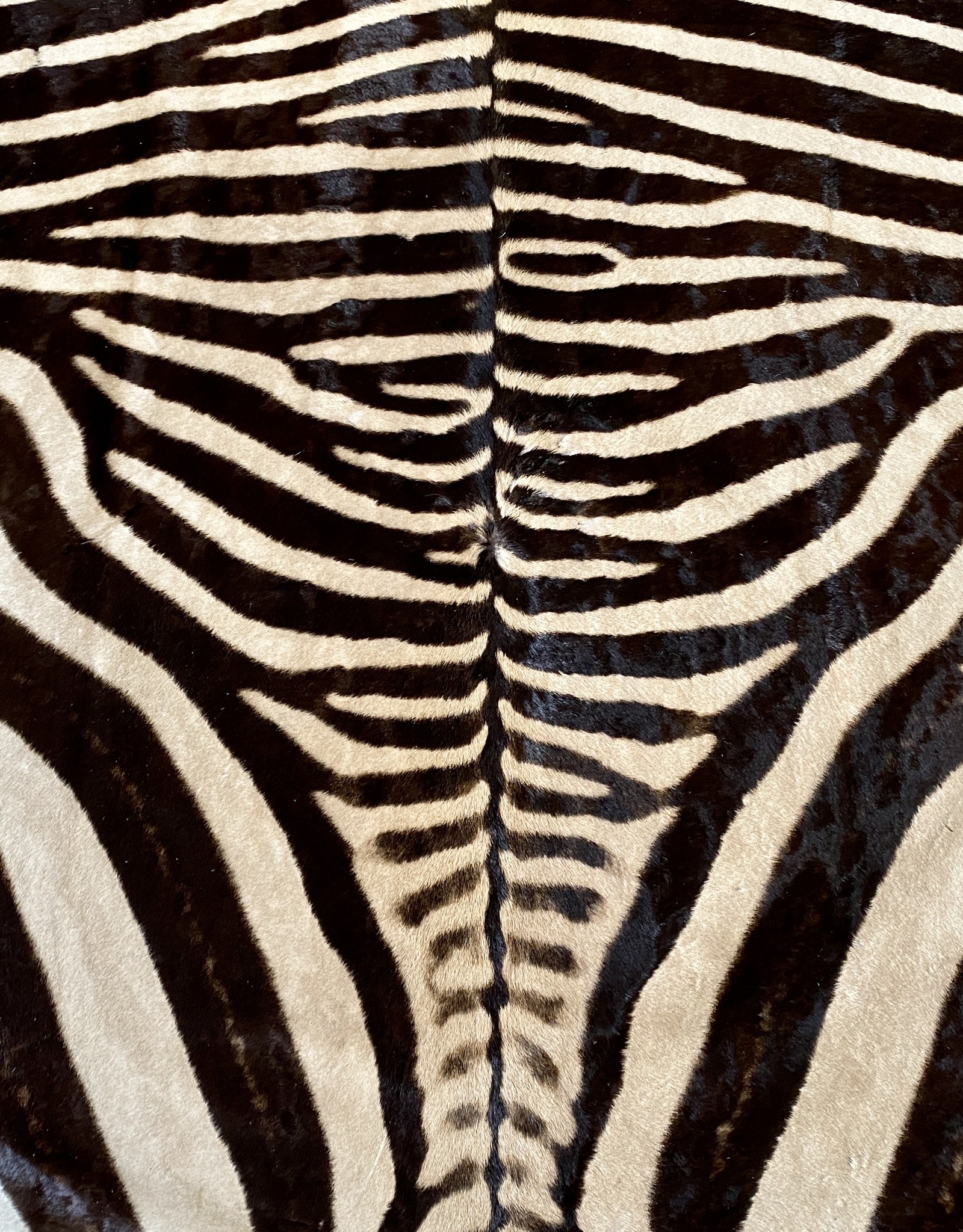 Zebra skin Omuthiya M357 XL skin