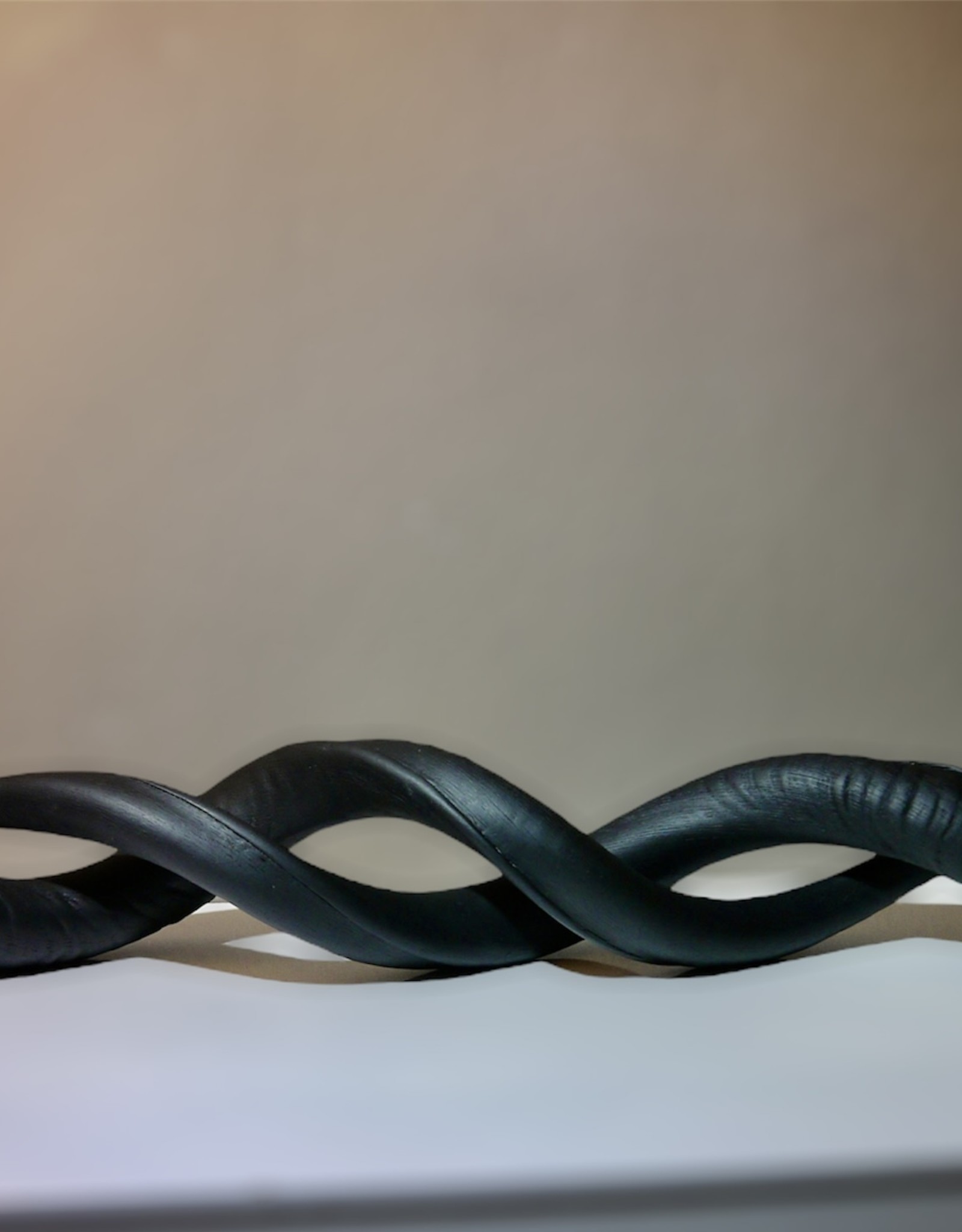 Kudo horn painted in a black matte