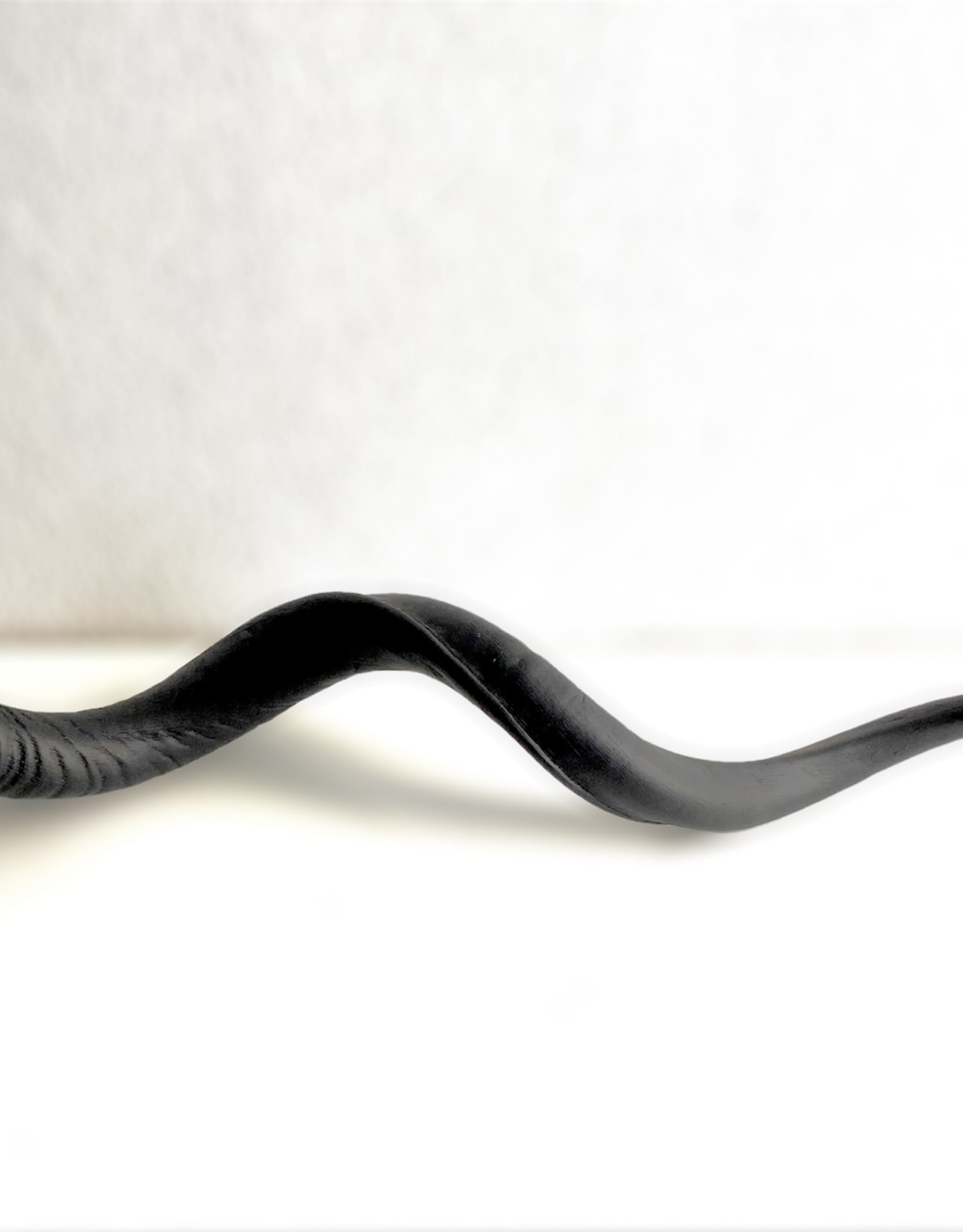 Kudo horn painted in a black matte