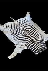Zebrafell absichtlich ohne Kopfteil M345