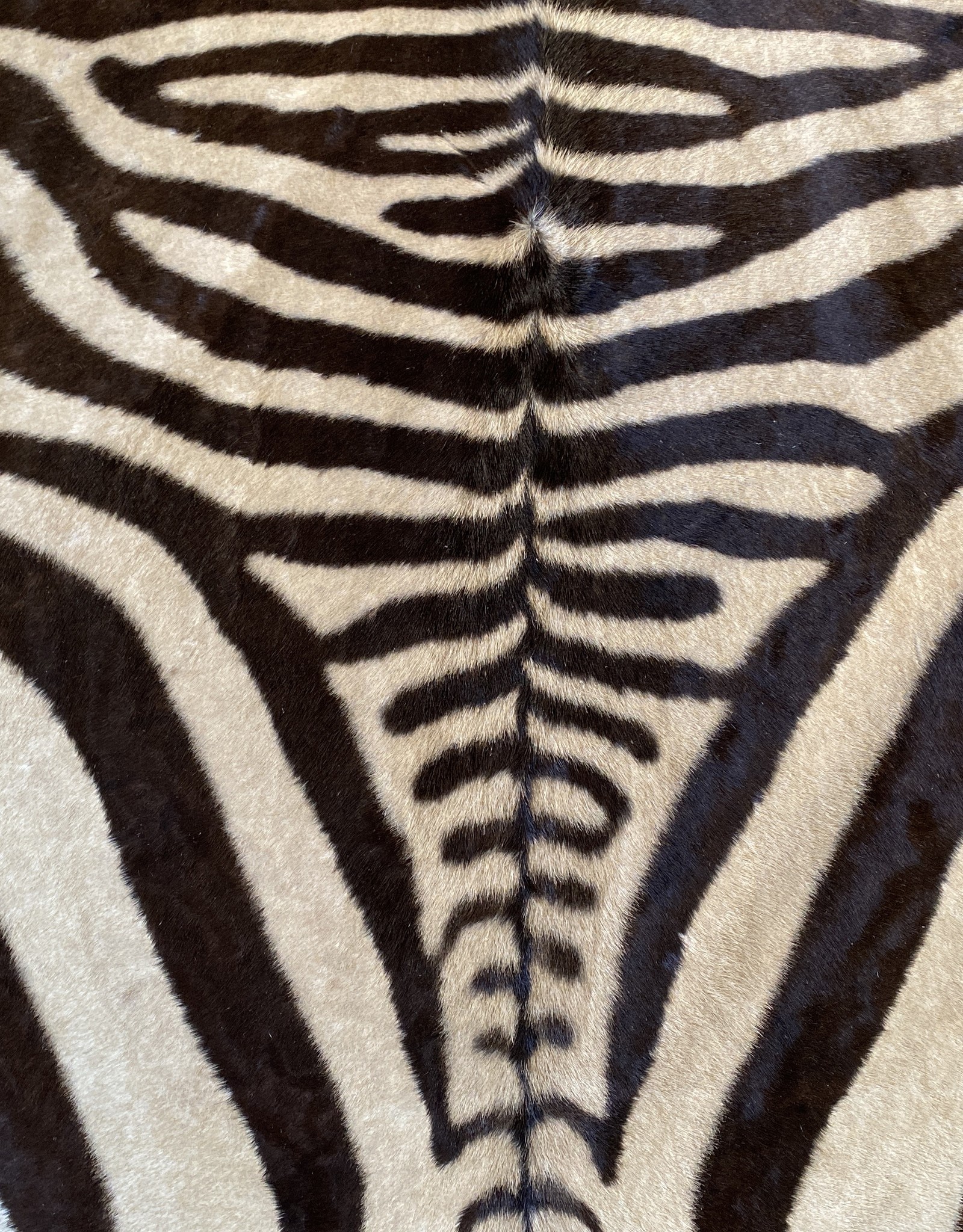 Zebrafell absichtlich ohne Kopfteil M359