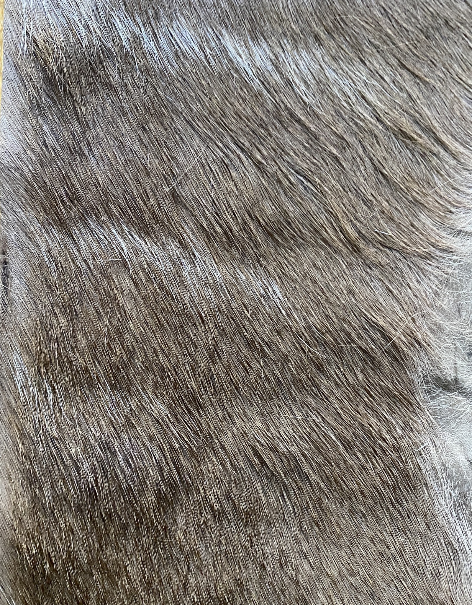 Kudu skin remnant for further processing