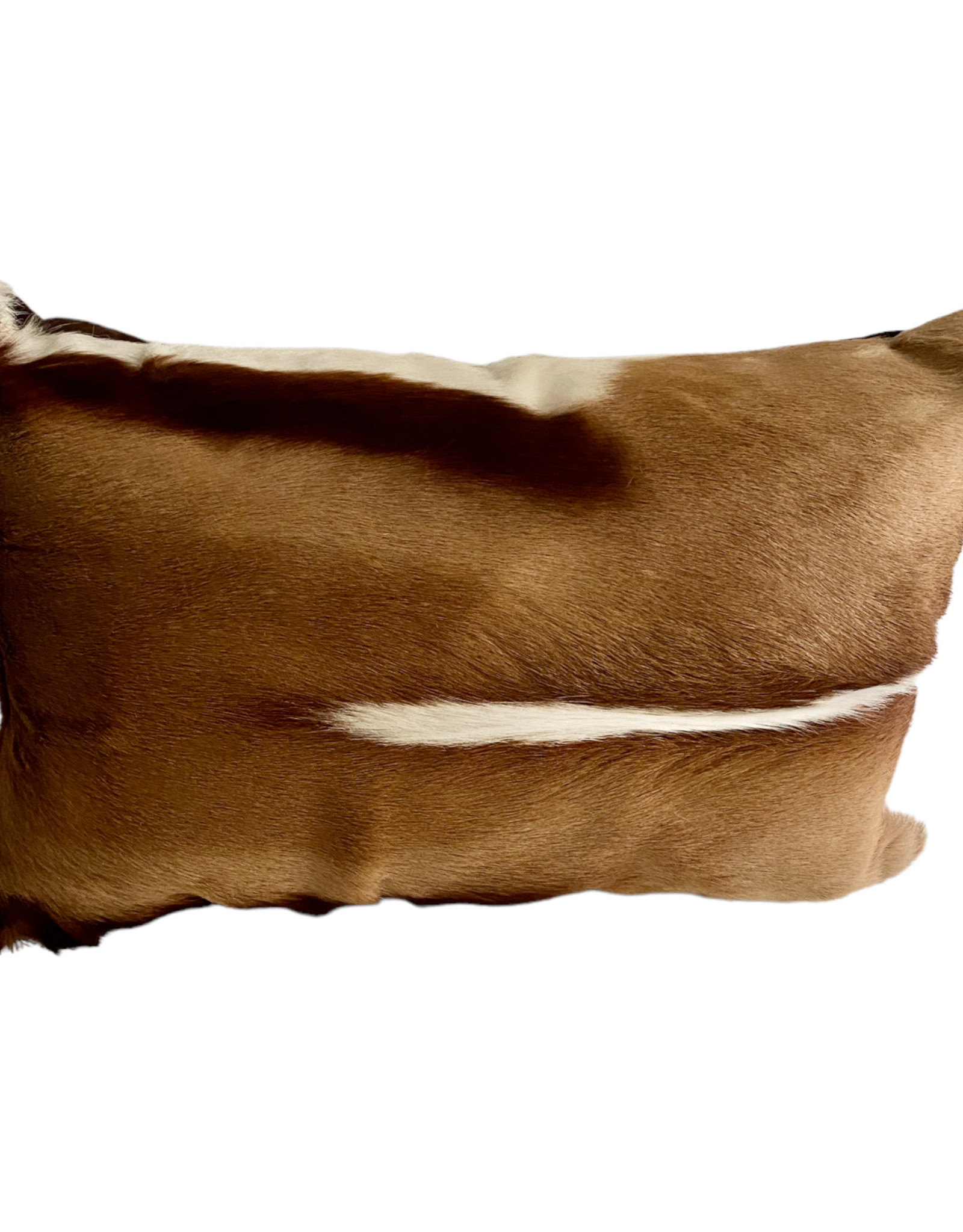 Springbok fur cushion natural - long