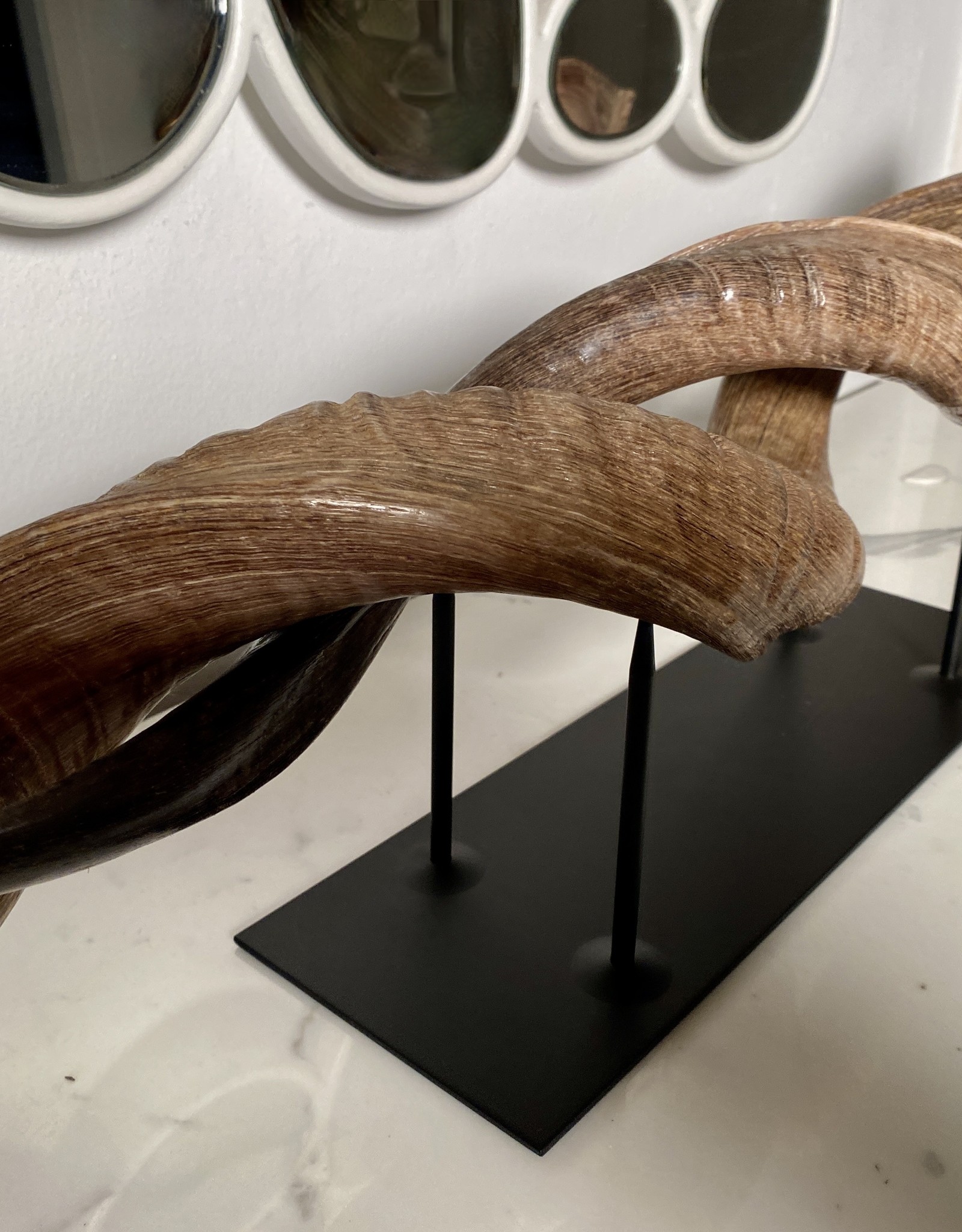 Kudu horn partly ground double on metal stand