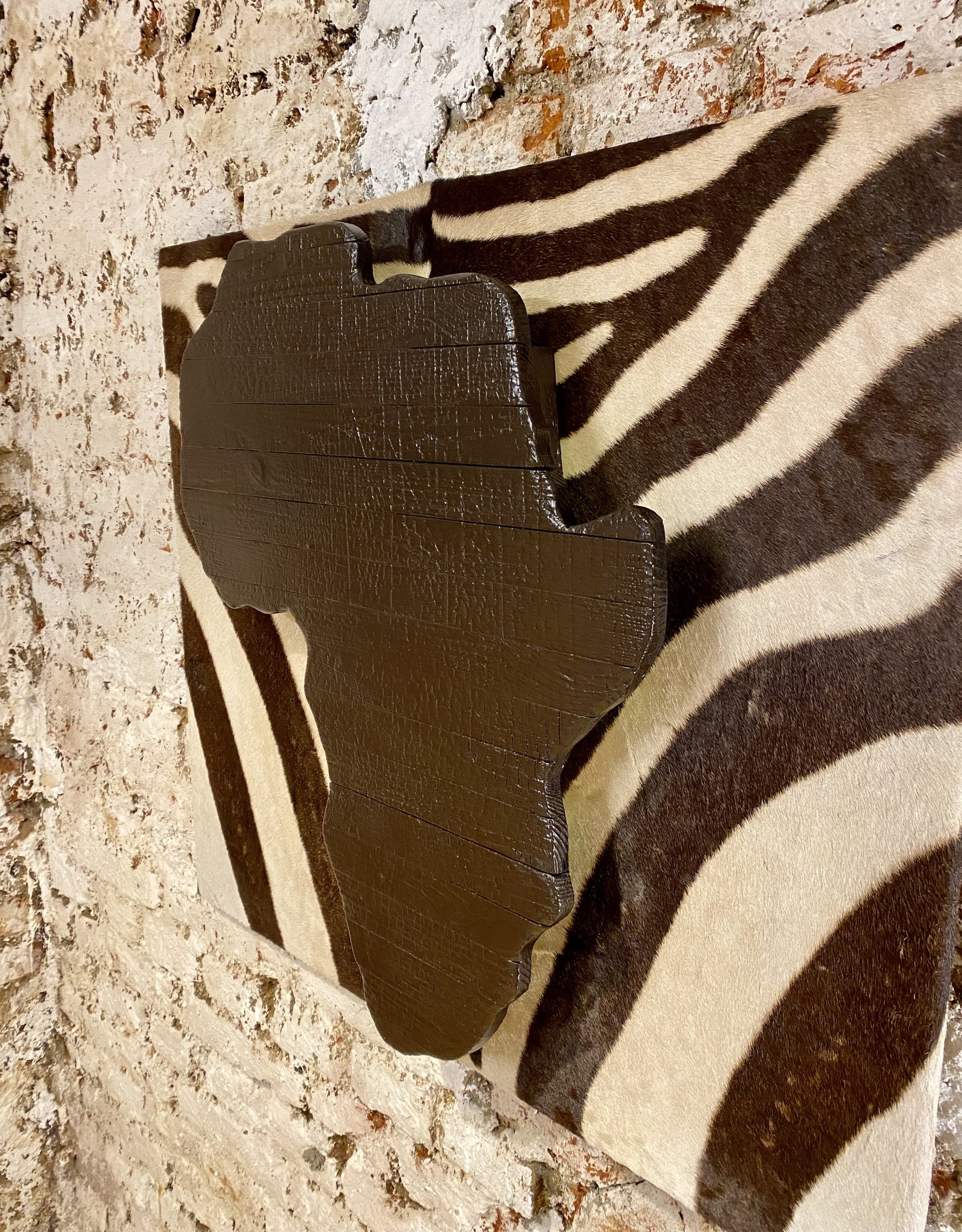 Zebra picture made from real zebra skin