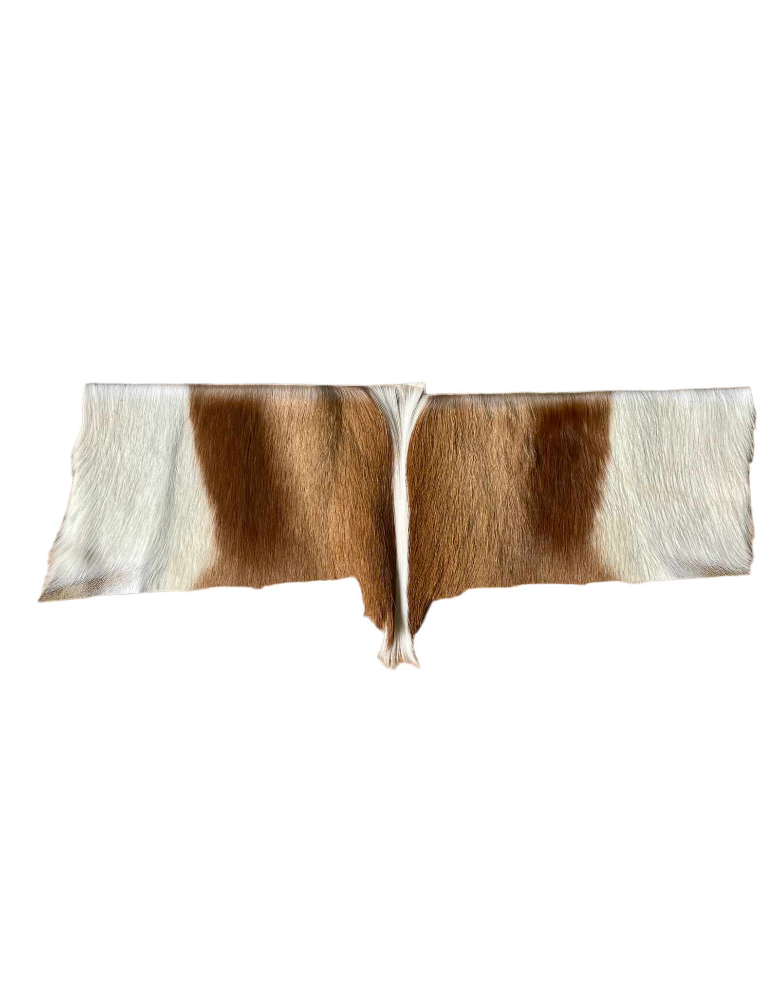 Springbok fur remnant R060