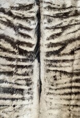 Nice medium size gnu fur with a strong wild mane MG061 - Copy