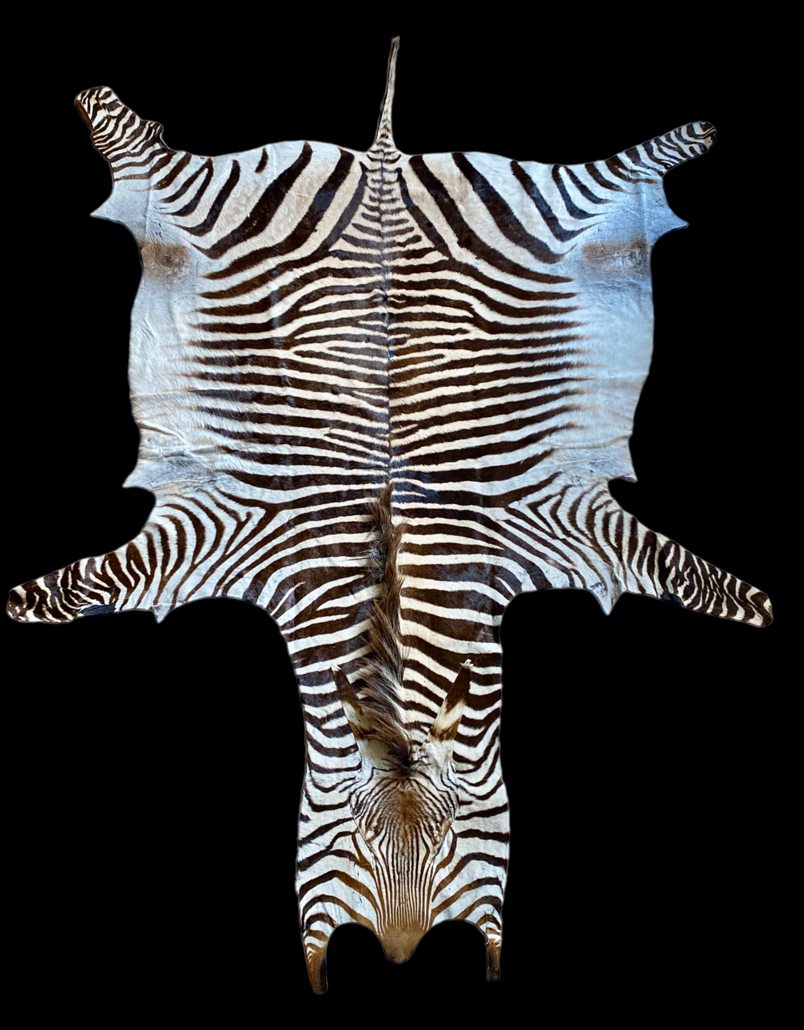 Zebra Skin Boschendl M369