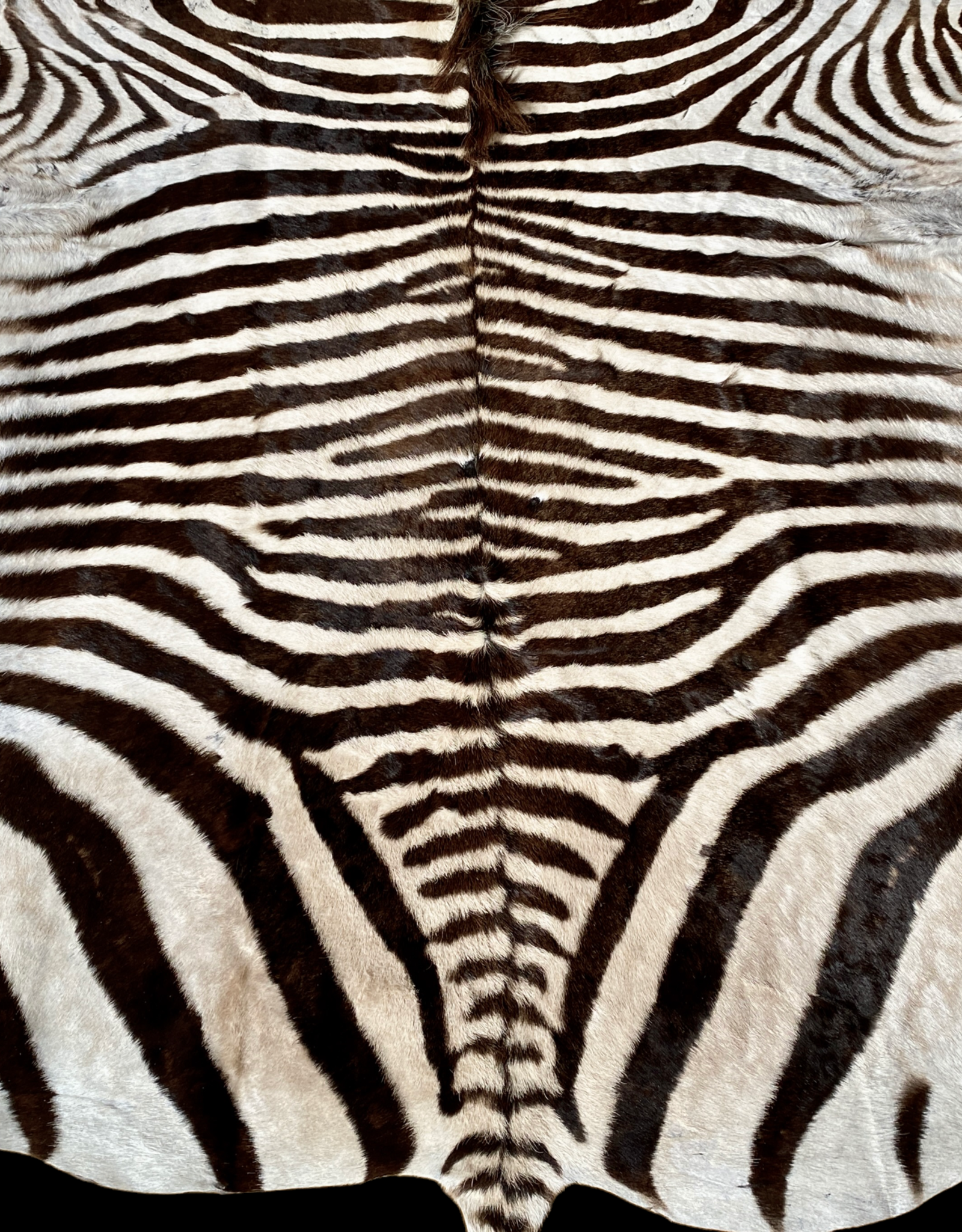 Kleines Zebrafell Boschendal M369