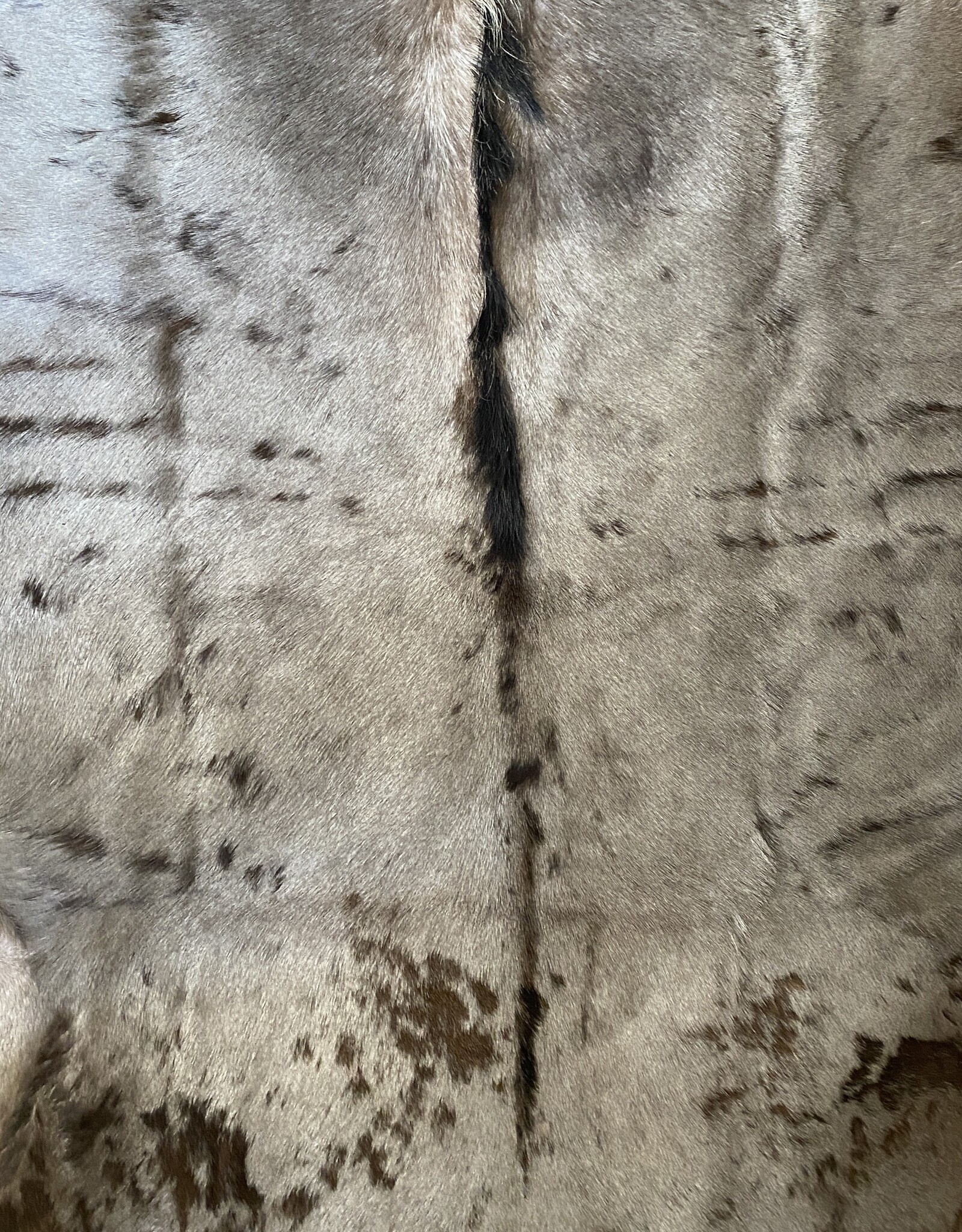 Nice medium size gnu fur with a strong wild mane MG063