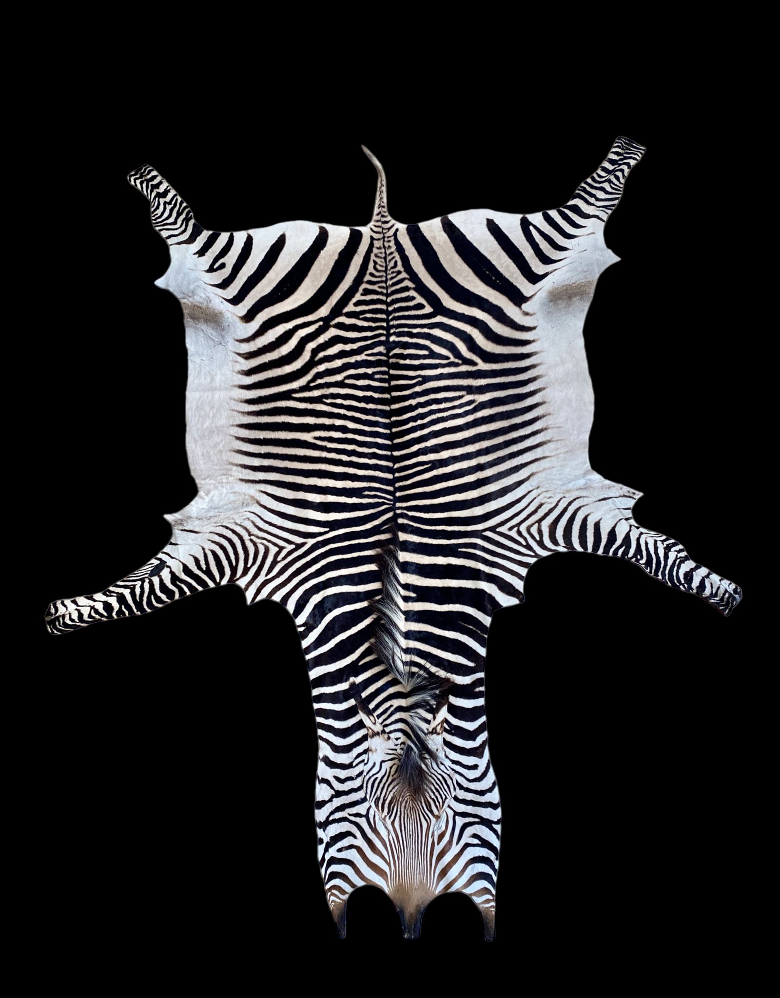 Zebra Skin Windhoek M376