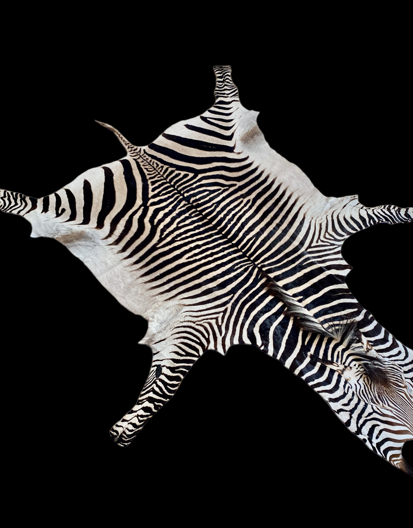Zebra Skin Windhoek M376