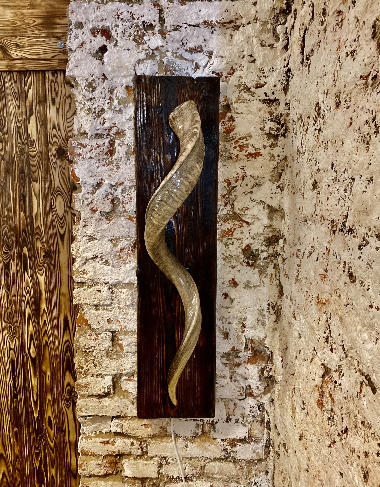 Handcrafted Kudu Horn Wall Lamp – Unique Exotic Design with LED Lighting