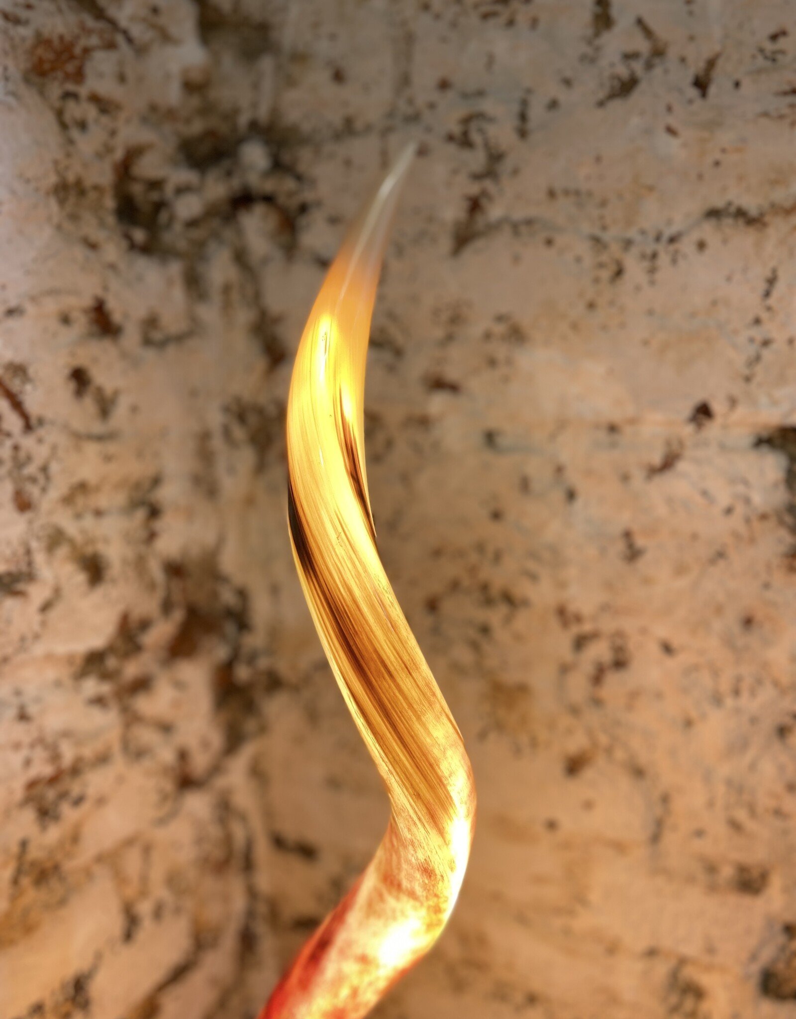 Handcrafted Kudu Horn Lamp – Unique Exotic Design with LED Lighting