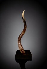 Handcrafted Kudu Horn Lamp – Unique Exotic Design with LED Lighting