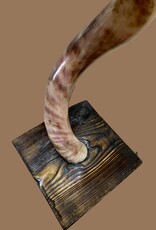 Handcrafted Kudu Horn Lamp – Unique Exotic Design with LED Lighting