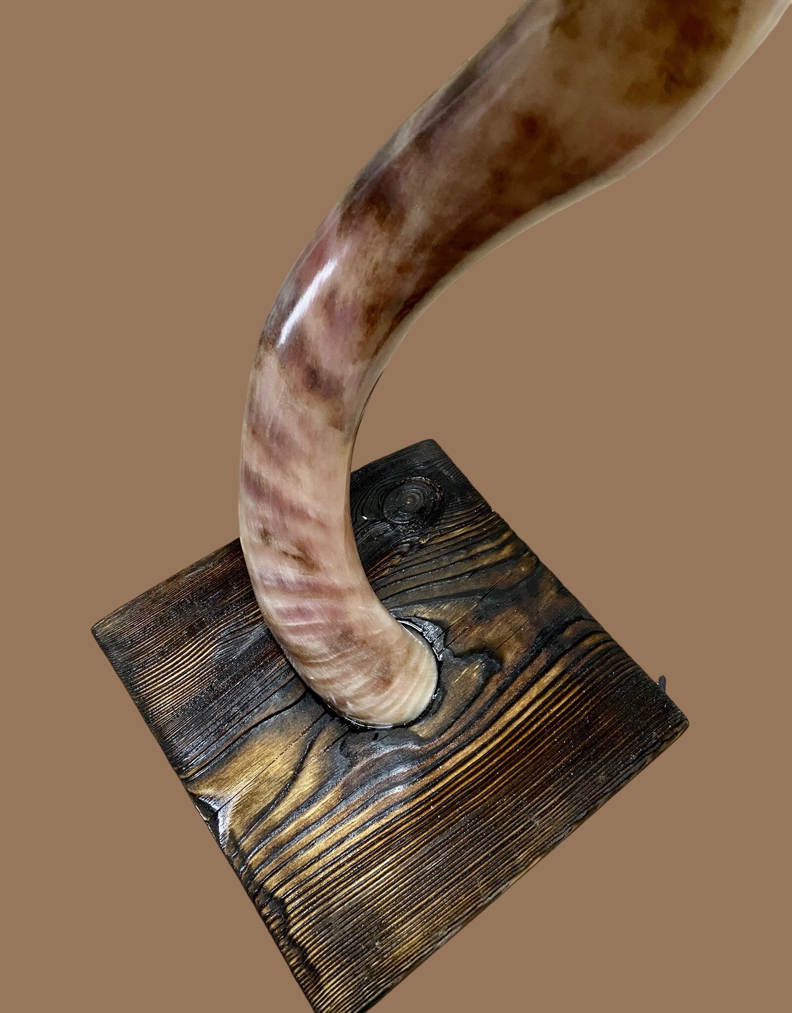 Handcrafted Kudu Horn Lamp – Unique Exotic Design with LED Lighting