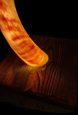 Handcrafted Kudu Horn Lamp – Unique Exotic Design with LED Lighting