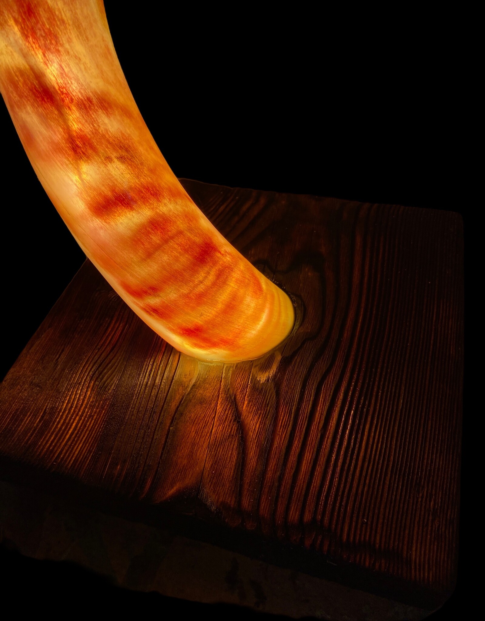 Handcrafted Kudu Horn Lamp – Unique Exotic Design with LED Lighting