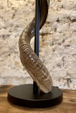 Kudu Horn Lamp XL Black Lounge