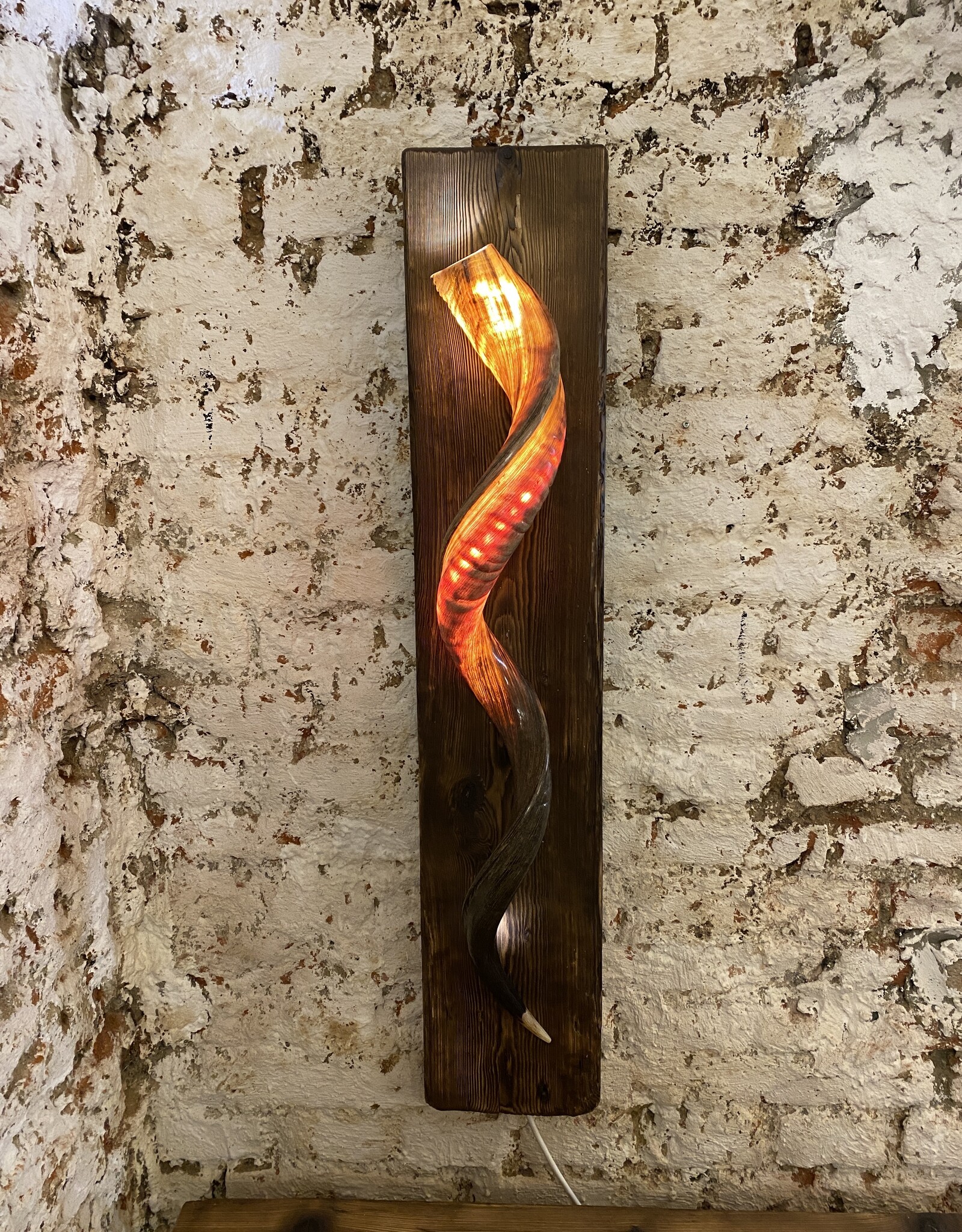 Handcrafted Kudu Horn Wall Lamp – Unique Exotic Design with LED Lighting
