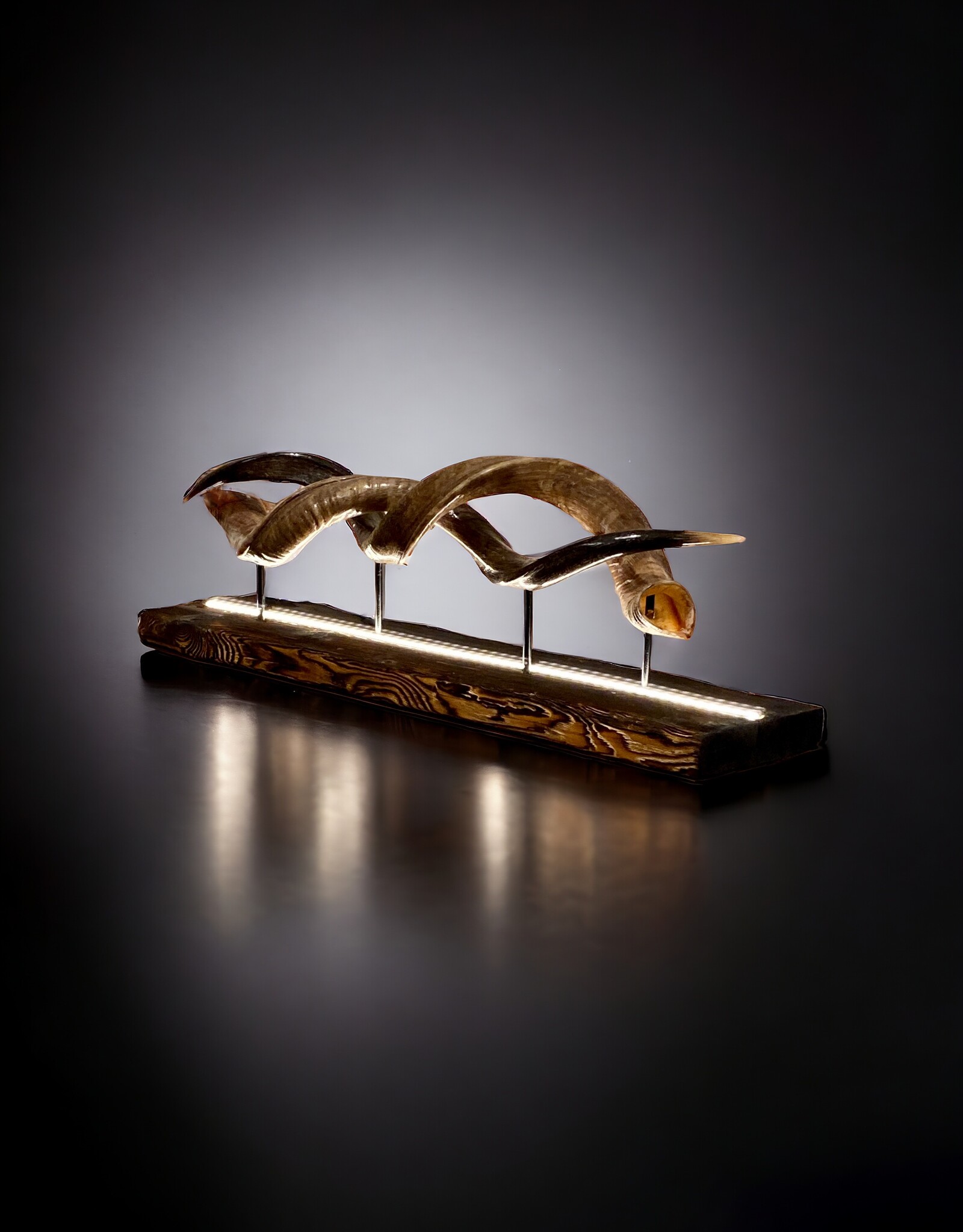 Handcrafted Kudu Horn Table Sculpture – Unique Exotic Design with LED Lighting