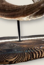 Handcrafted Kudu Horn Table Sculpture – Unique Exotic Design with LED Lighting