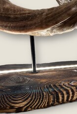 Handgefertigte Kuduhorn Tischskulptur – Einzigartiges Exotisches Design mit LED-Beleuchtung dimmbar - Copy