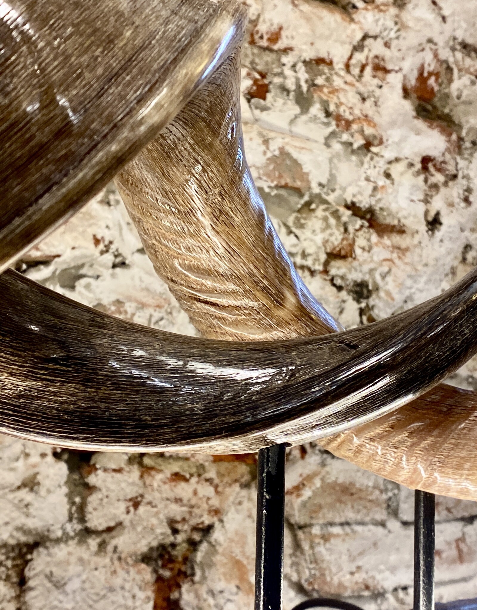 Handcrafted Kudu Horn Table Sculpture – Unique Exotic Design with LED Lighting