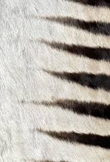 Zebrafell  M371 Xl Okahao