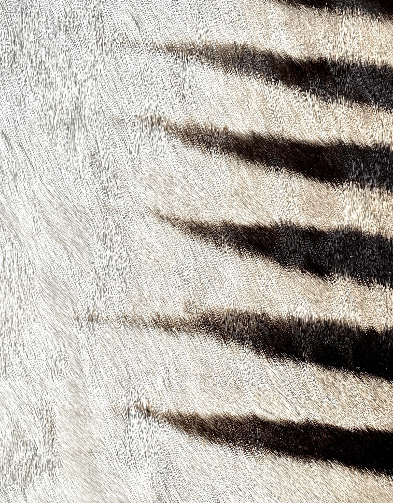 M371 Zebra Rug XL Okahao