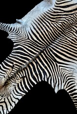 M371 Zebra Rug XL Okahao