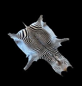 Zebra Rug XL M371 Okahao