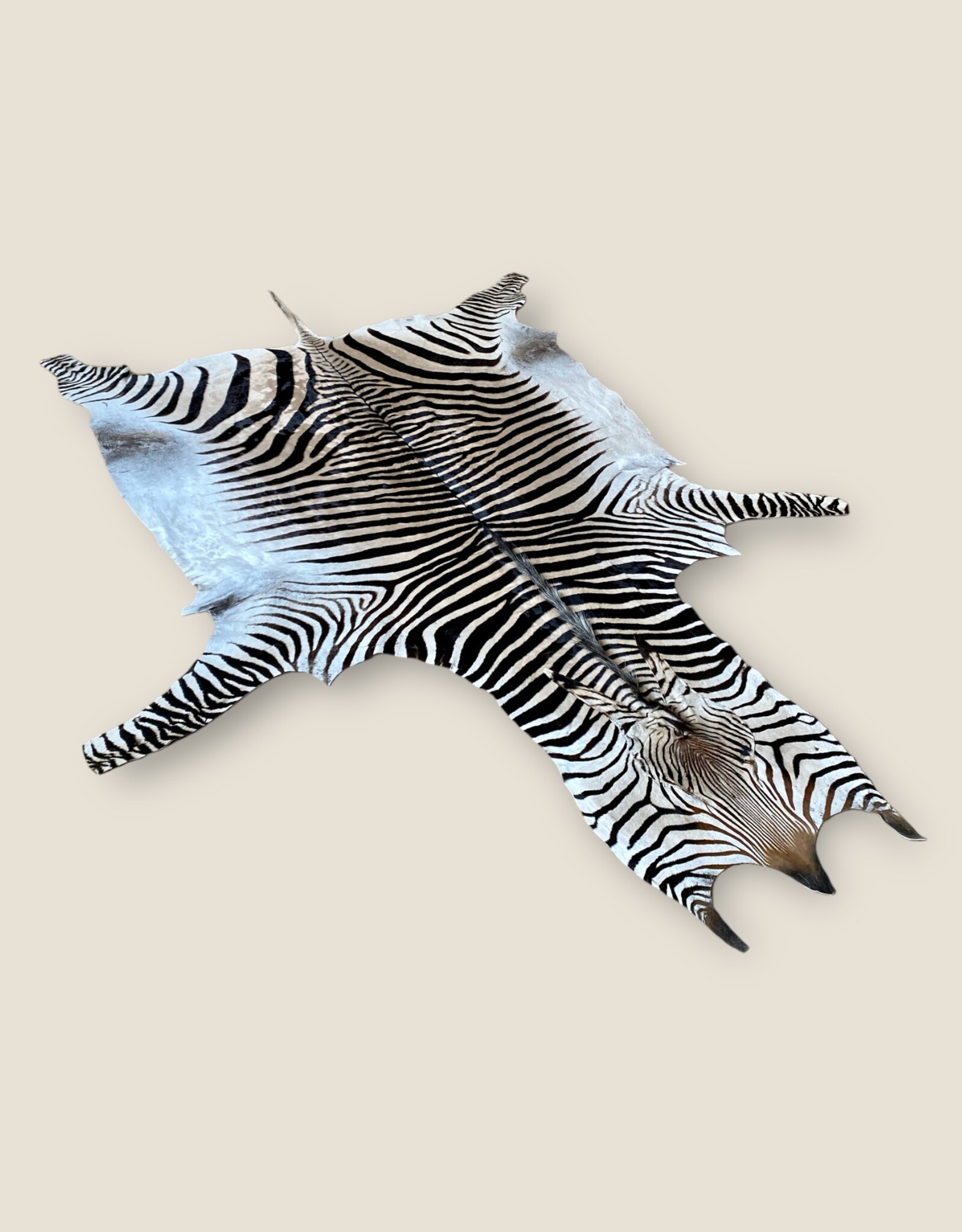 M371 Zebra Rug XL Okahao