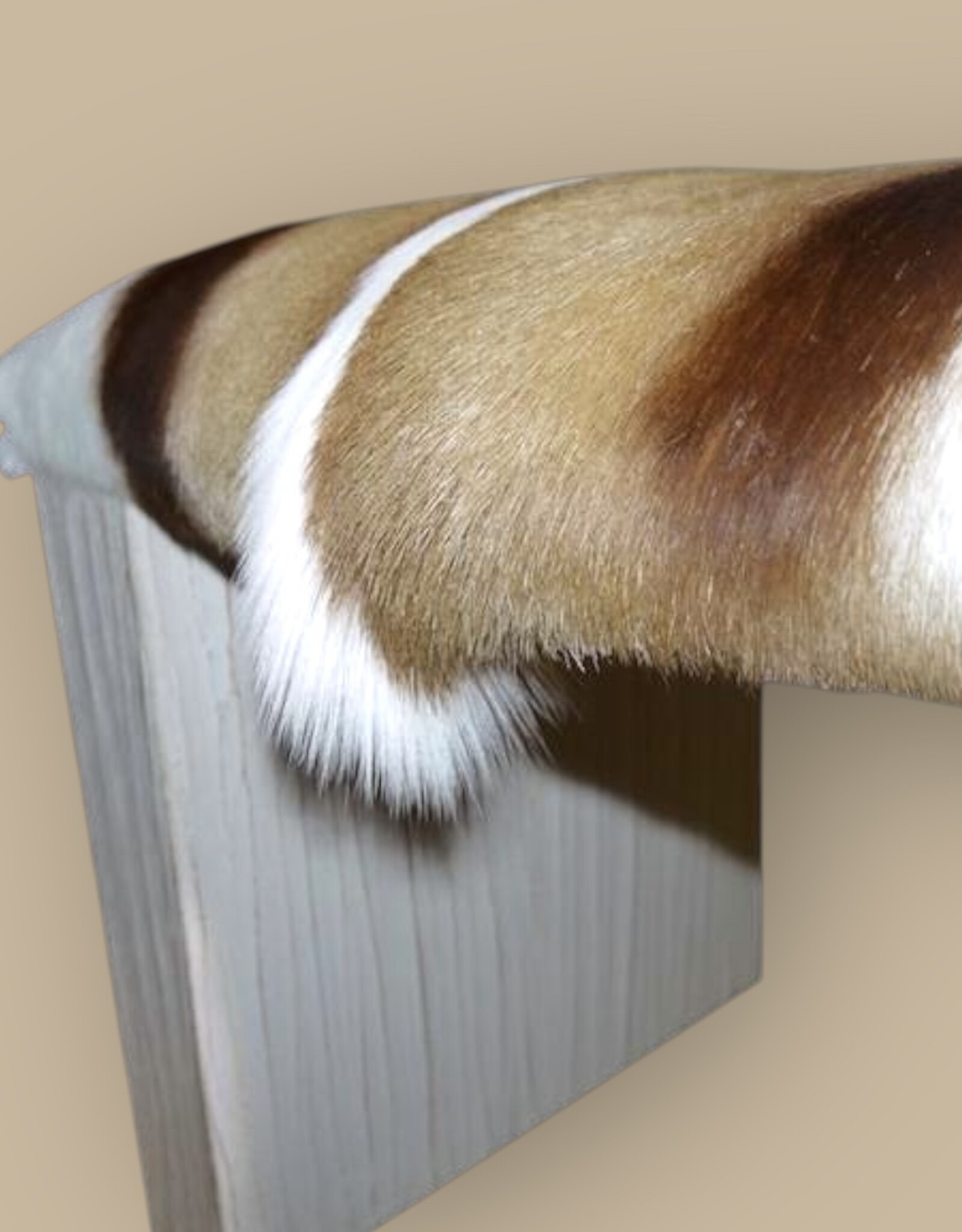 Springbockbank Timber White