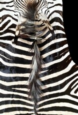 M381 Zebra Rug the most beautiful of all