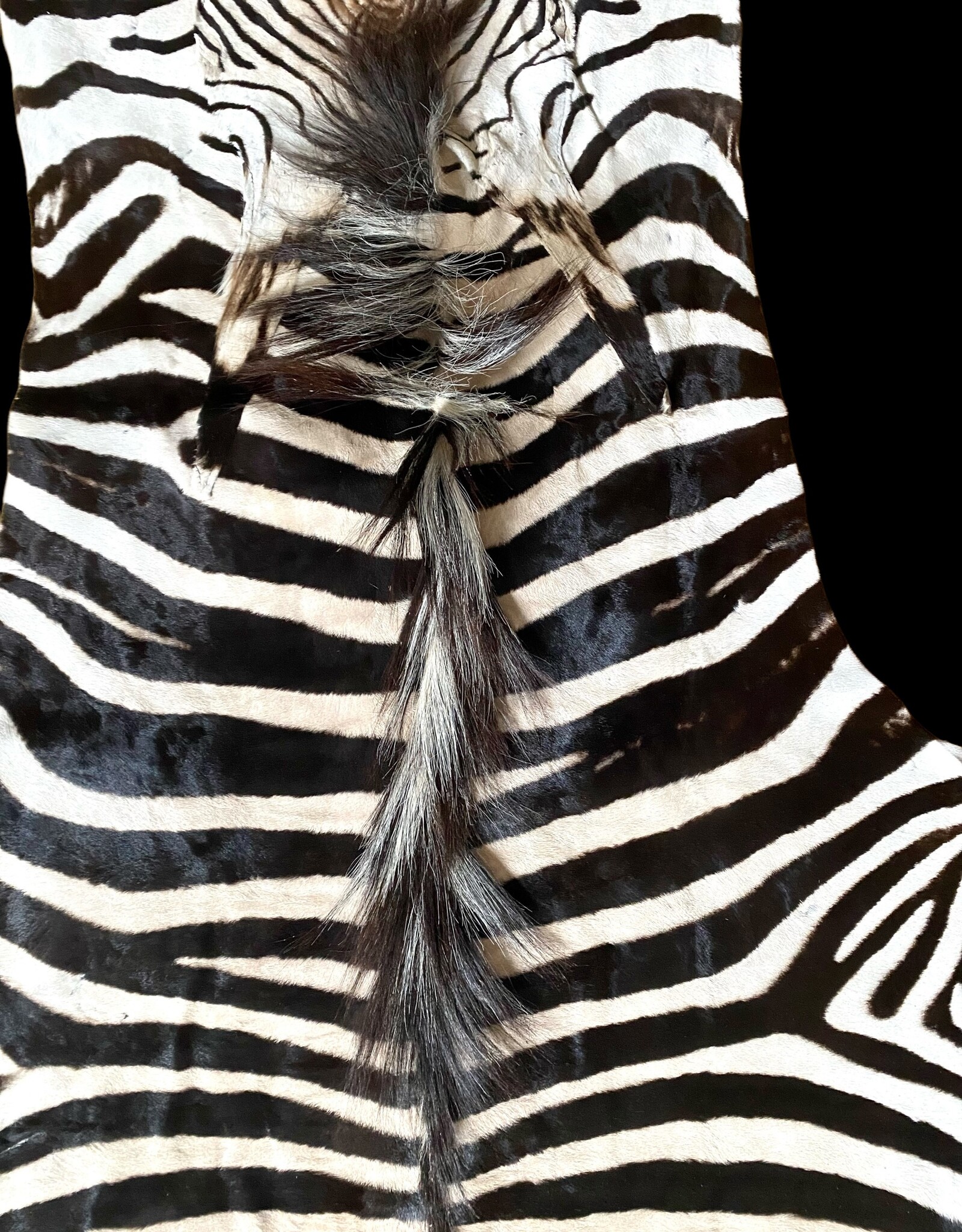 M381 Zebra Rug the most beautiful of all