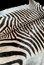 M381 Zebra Rug the most beautiful of all