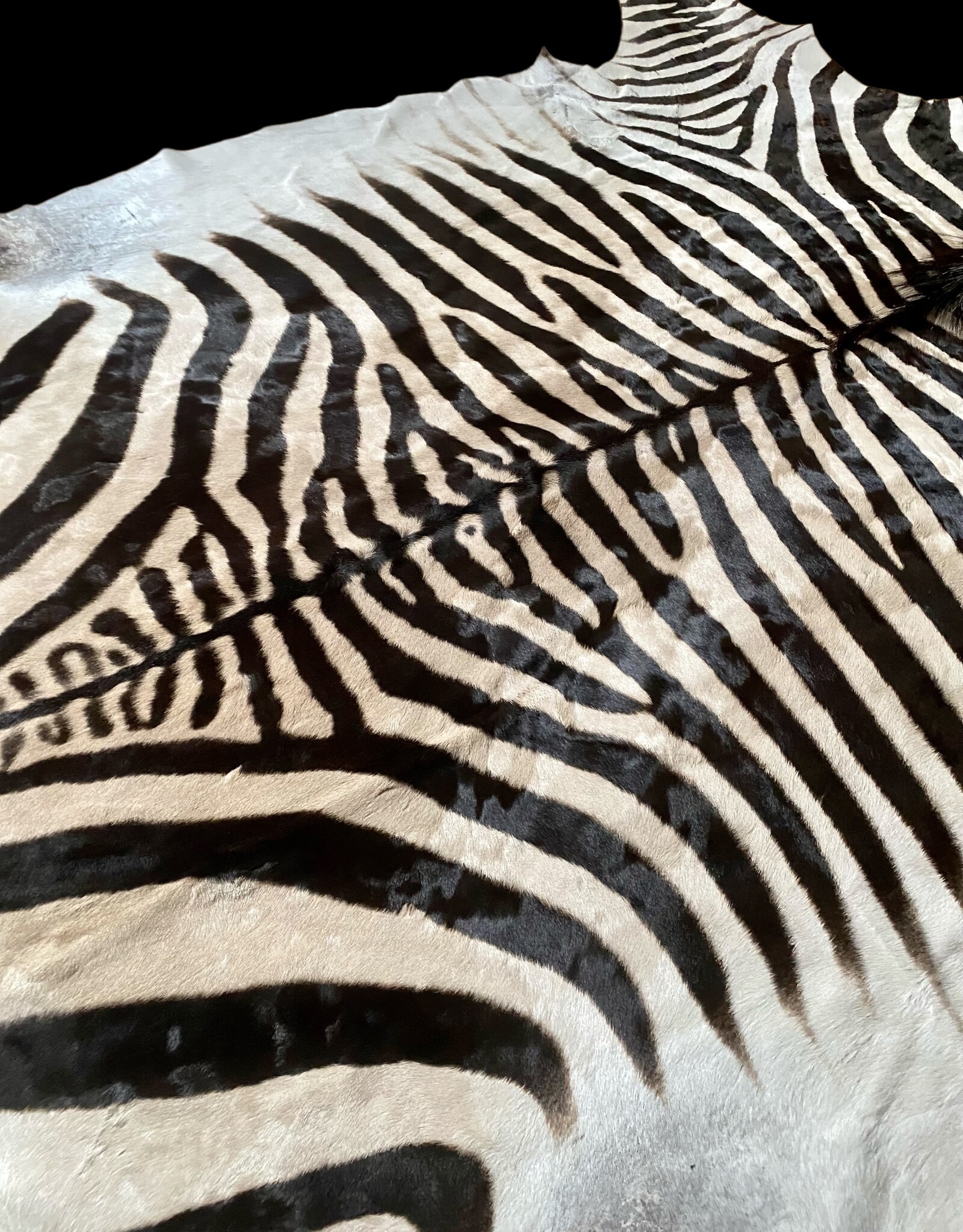 M381 Zebra Rug the most beautiful of all